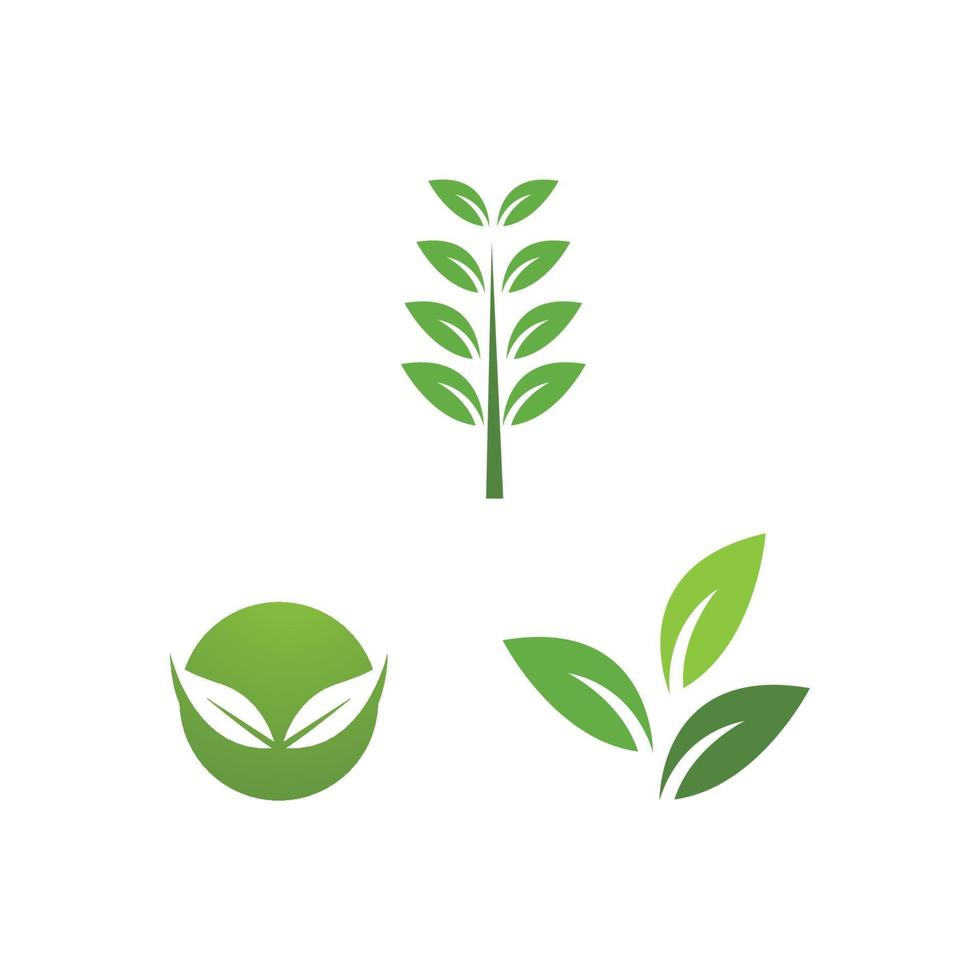 groene blad illustratie vector