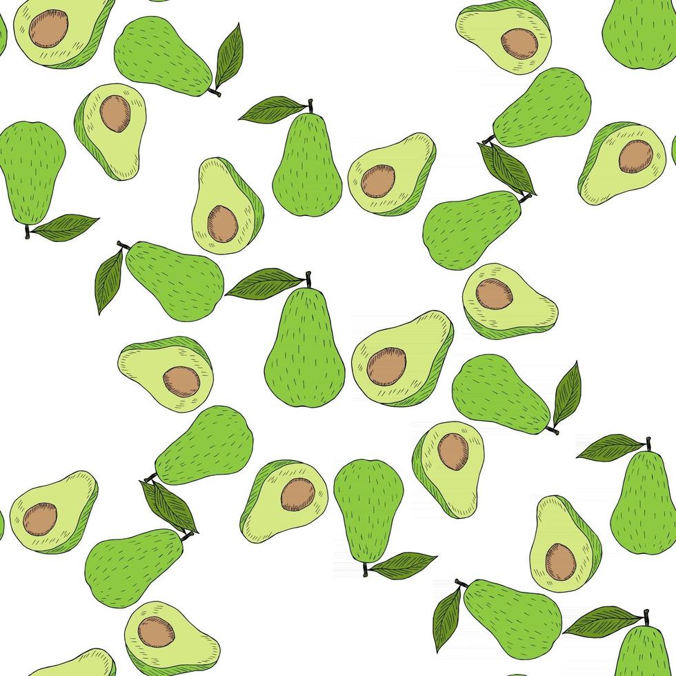 avocado in kleur, naadloos 3 vector