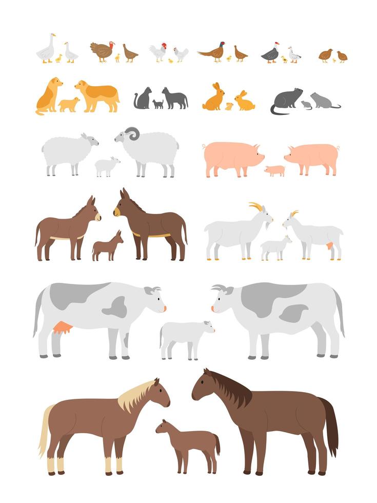 set van boerderijdieren en vogels. vector