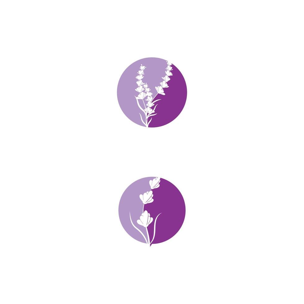 lavendel logo sjabloon vector symbool natuur