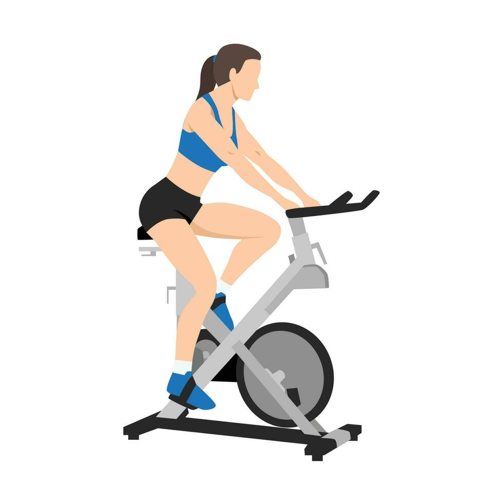 vrouw aan het doen cardio stationair fiets. spinnen oefening. vector