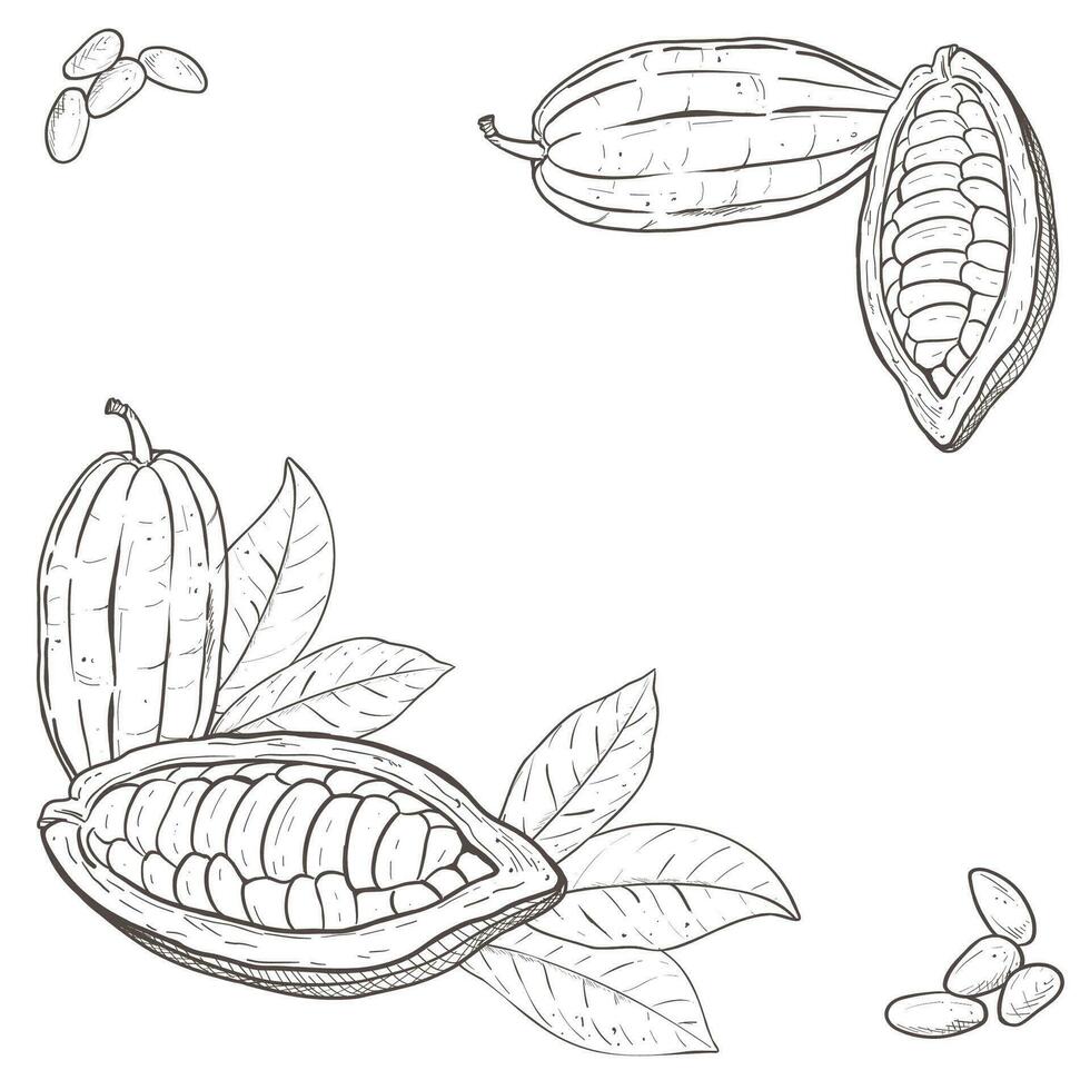 vector illustratie plein reeks van cacao bladeren, geschild en Gesloten bonen en zaden in de hoeken. zwart schets van tak, grafisch tekening. voor ansichtkaarten, ontwerp en samenstelling decoratie, prints