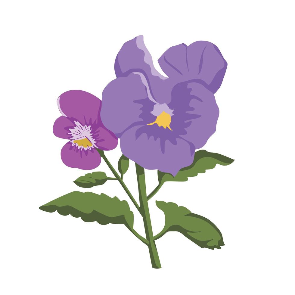 viooltje bloem kleur clip art ontwerp vector