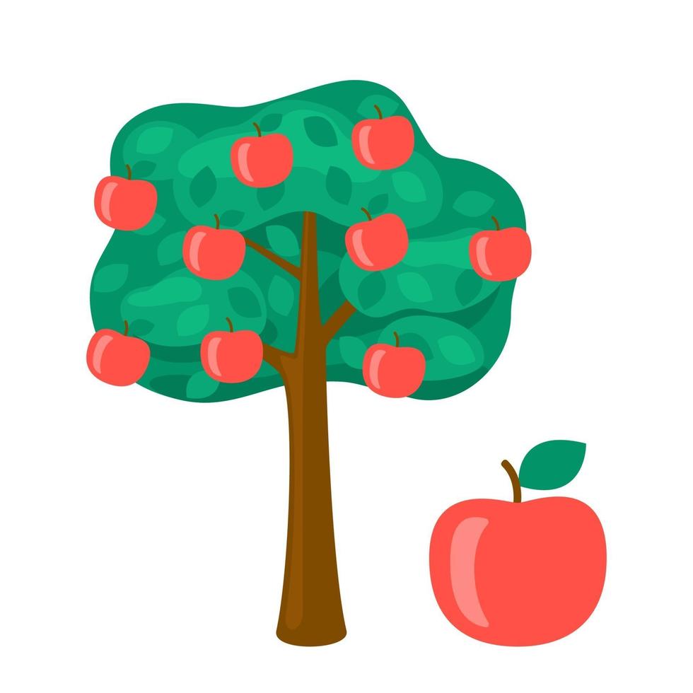 appelboom en fruit rode appel, oogst rijp fruit. tuin voedsel gewas vector