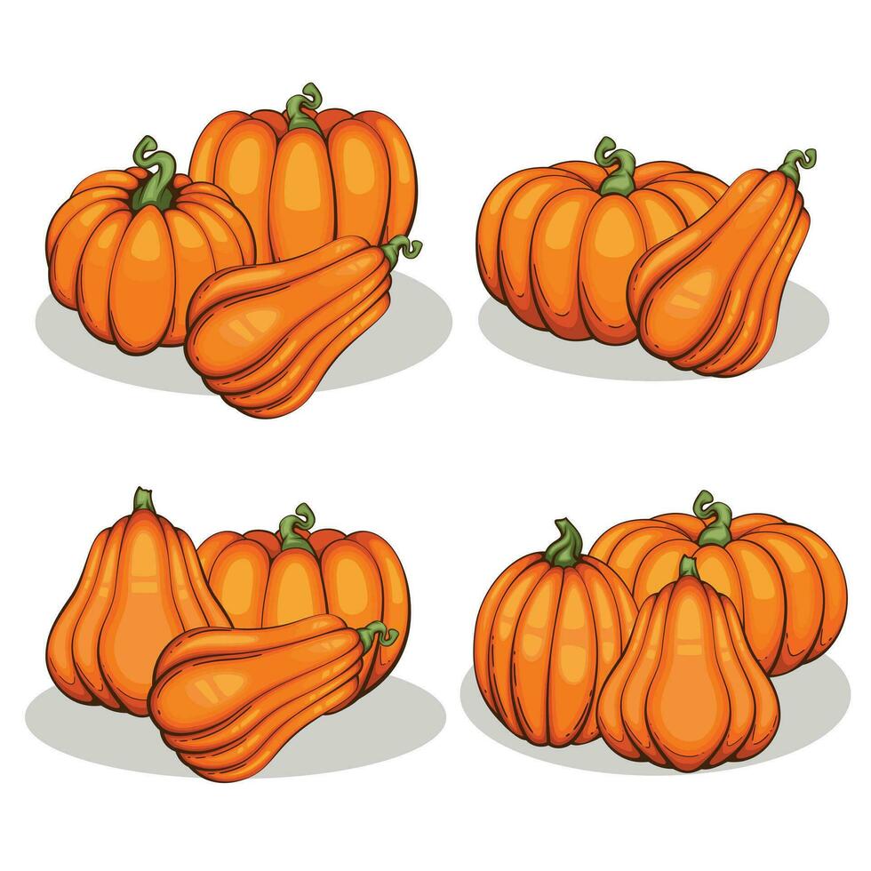 pompoenen illustratie geïsoleerd Aan wit. herfst dankzegging pompoenen arrangement Aan wit achtergrond. kleurrijk pompoenen realistisch illustratie vector