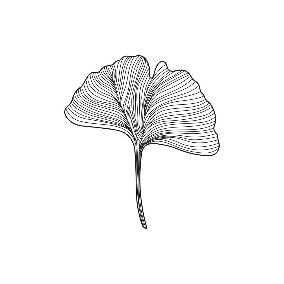 hand- getrokken kinderen tekening tekenfilm vector illustratie ginkgo blad geïsoleerd Aan wit achtergrond