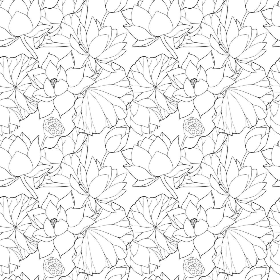 naadloos patroon met vector hand- getrokken lotus bloemen en knoppen, reusachtig bladeren, zwart lijn kunst illustratie. schets bloemen tekening voor verpakking ontwerp, textiel, dekt, scrapbooken, typografie