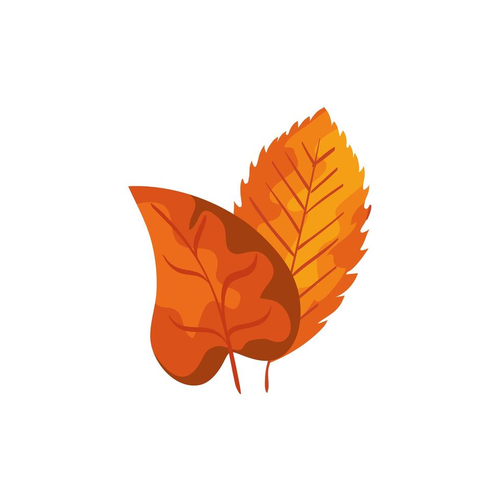 seizoen herfst bladeren geïsoleerde icon vector