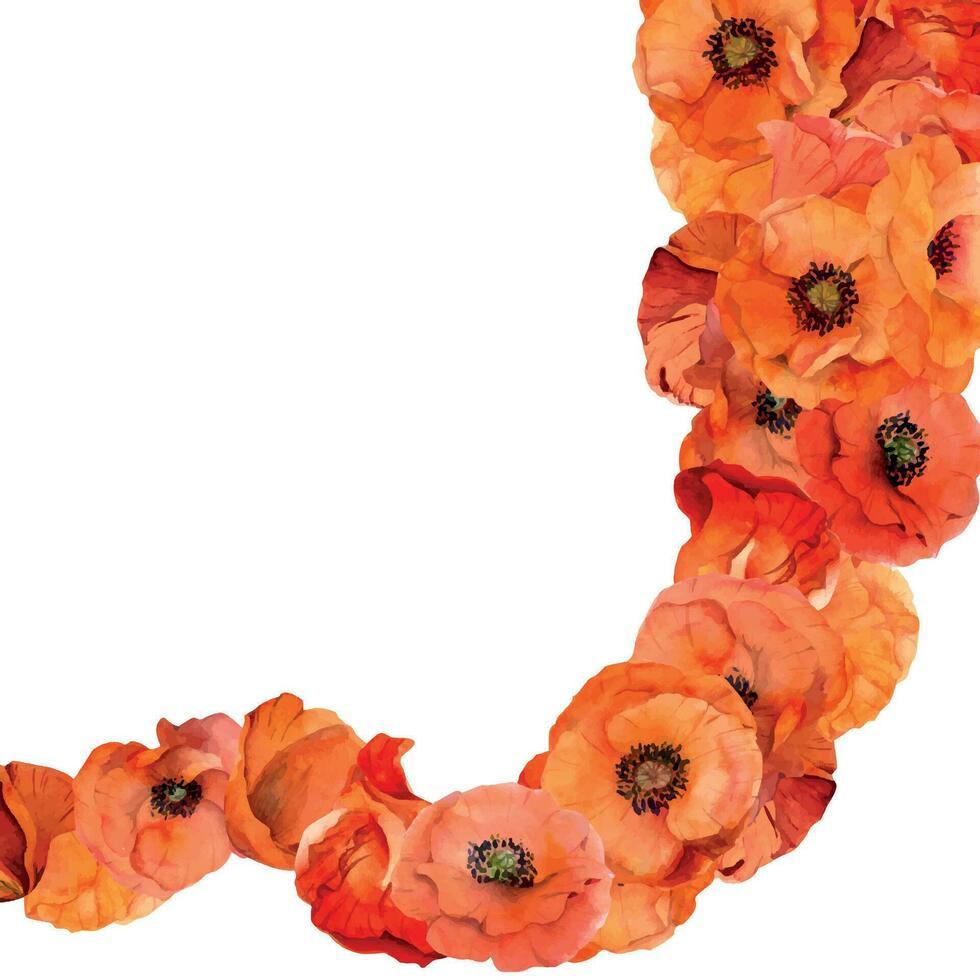 waterverf plein kader samenstelling met hand- getrokken zomer helder rood papaver bloemen. geïsoleerd Aan wit achtergrond. ontwerp voor uitnodigingen, bruiloft, liefde of groet kaarten, papier, afdrukken, textiel vector