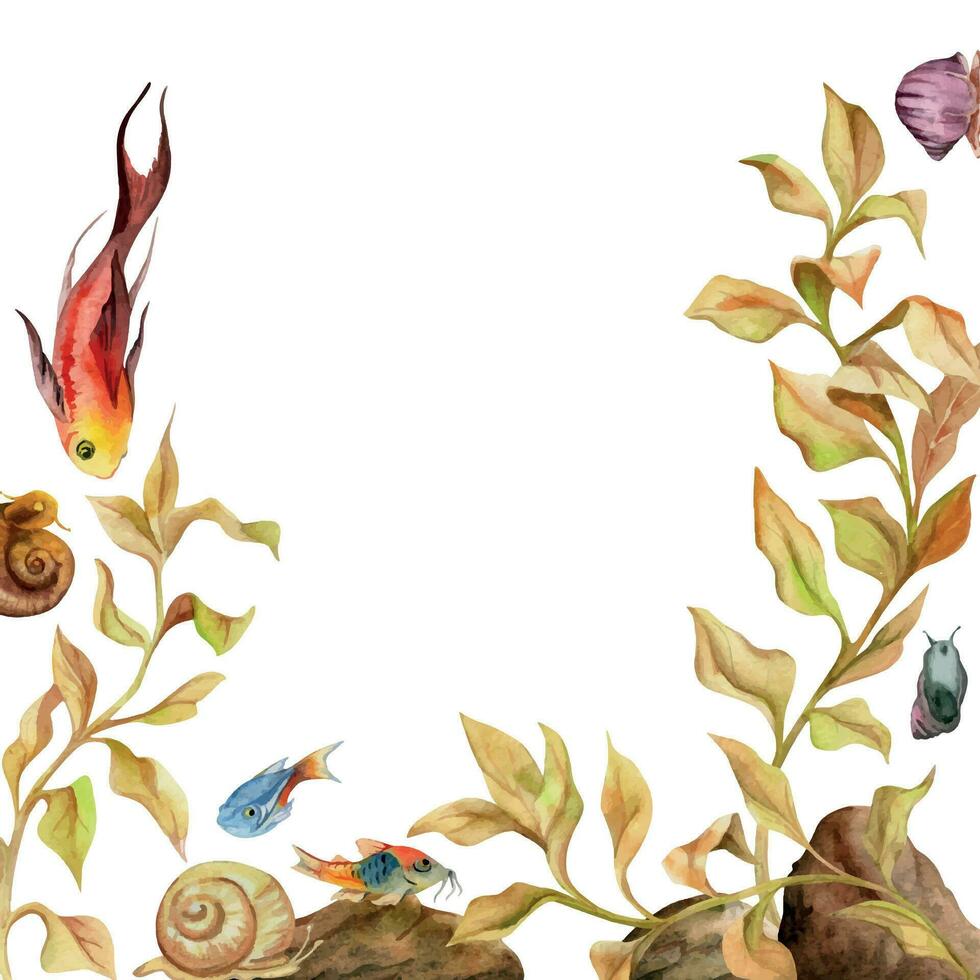 hand- getrokken waterverf aquarium vis, algen en zeeleven. marinier exotisch onderwater- illustratie. geïsoleerd Aan wit achtergrond. kader grens. ontwerp voor winkels, brochure, afdrukken, kaart, muur kunst, textiel. vector
