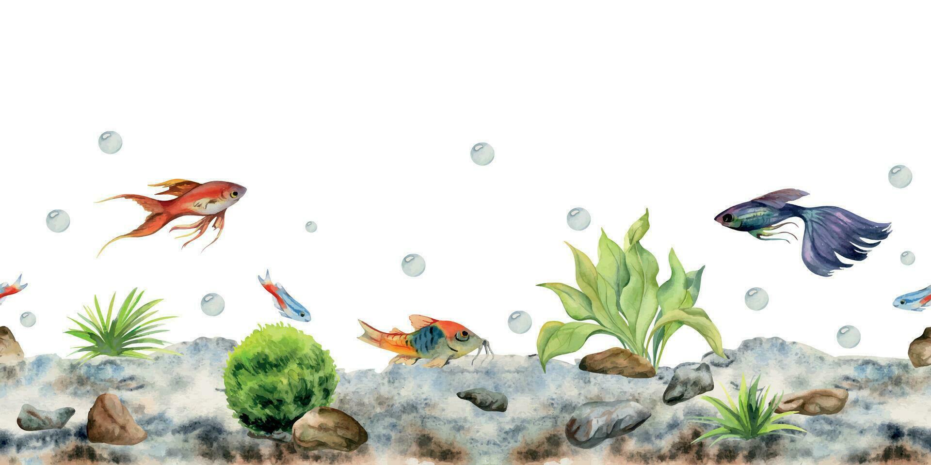 hand- getrokken waterverf aquarium vis, algen en zeeleven. marinier exotisch onderwater- illustratie. naadloos grens geïsoleerd Aan wit achtergrond. ontwerp voor winkels, brochure, afdrukken, kaart, muur kunst, textiel. vector