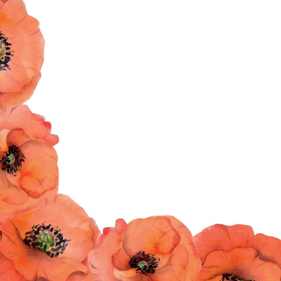 waterverf plein kader samenstelling met hand- getrokken zomer helder rood papaver bloemen. geïsoleerd Aan wit achtergrond. ontwerp voor uitnodigingen, bruiloft, liefde of groet kaarten, papier, afdrukken, textiel vector