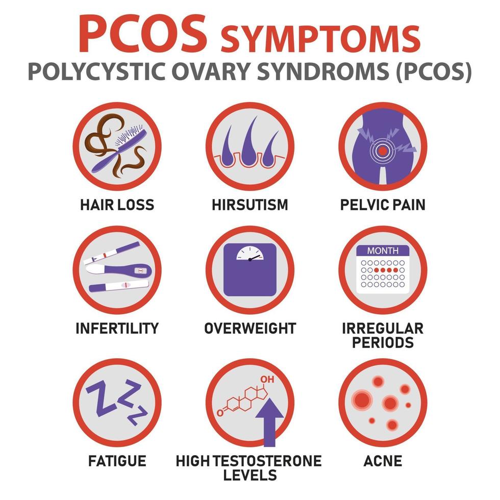 pcos symptomen infographics vector