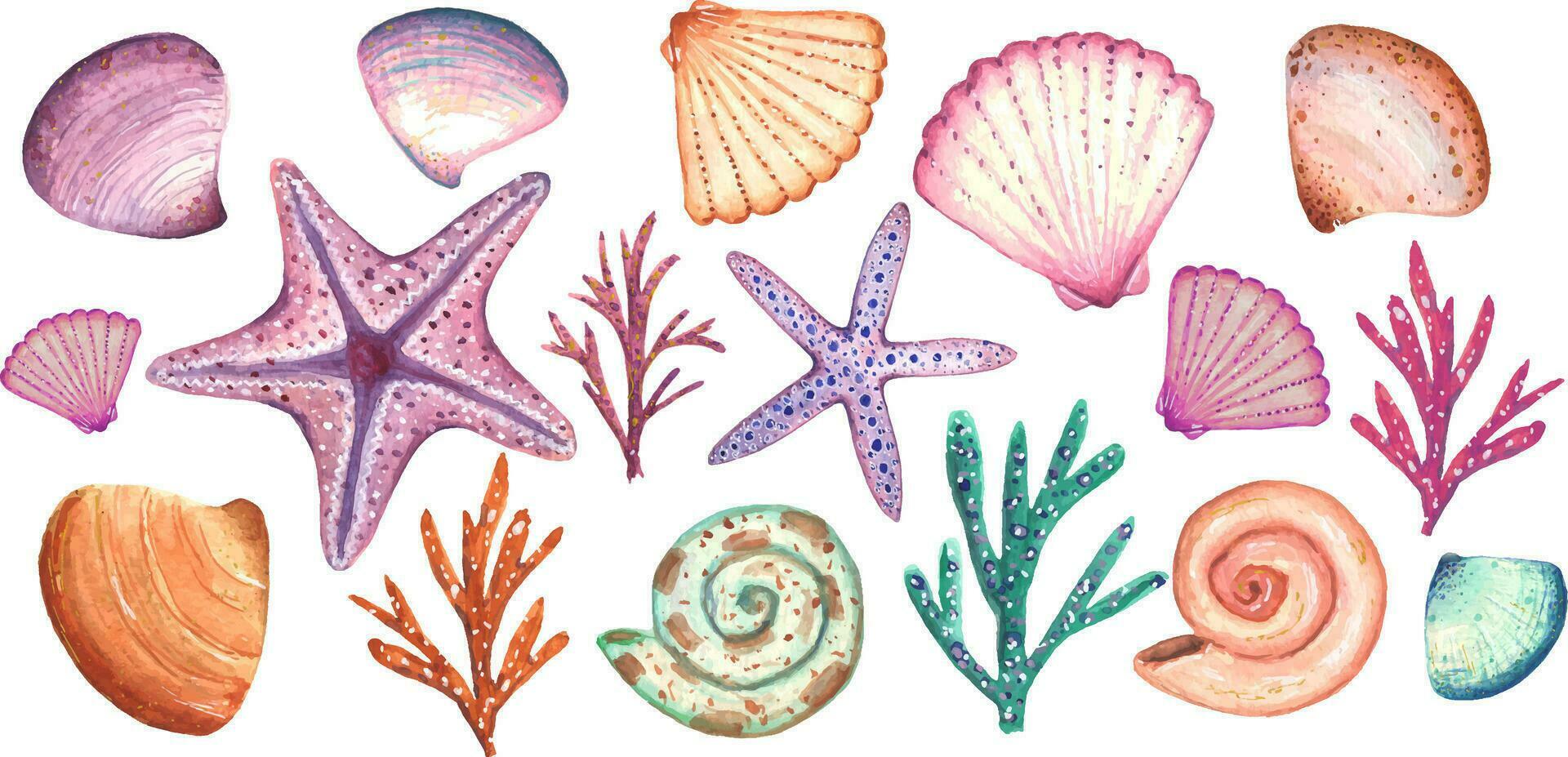 verzameling van zee schelpen. 17 elementen. geschikt voor de vakantie van de zee en voor creëren ontwerpen, patronen. vector
