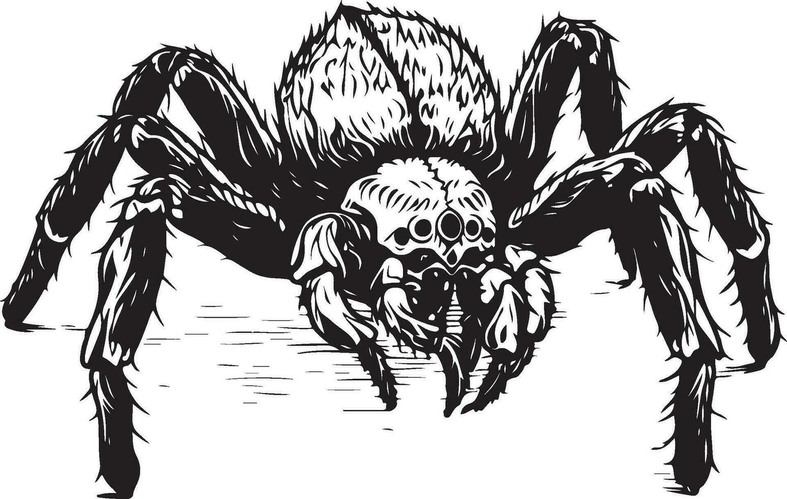 tarantula tasha vector silhouet illustratie