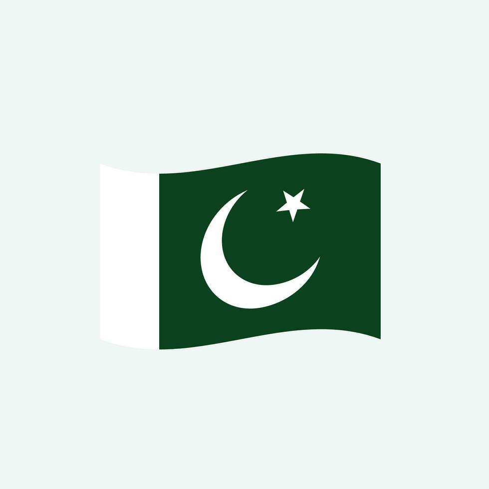 Pakistan vlag icoon PNG vector