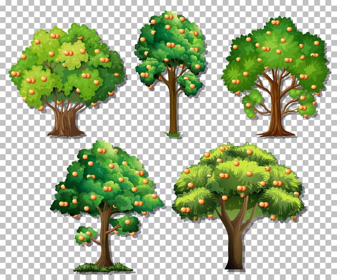 set van verschillende bomen vector