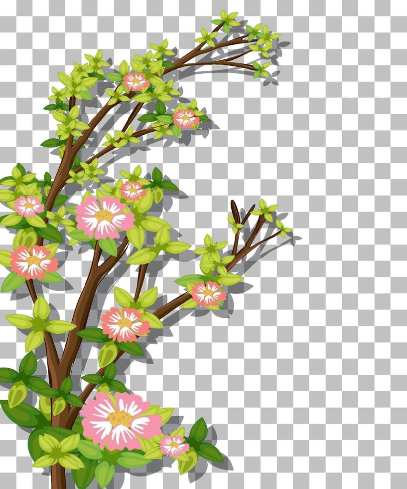 tak van roze bloemen vector