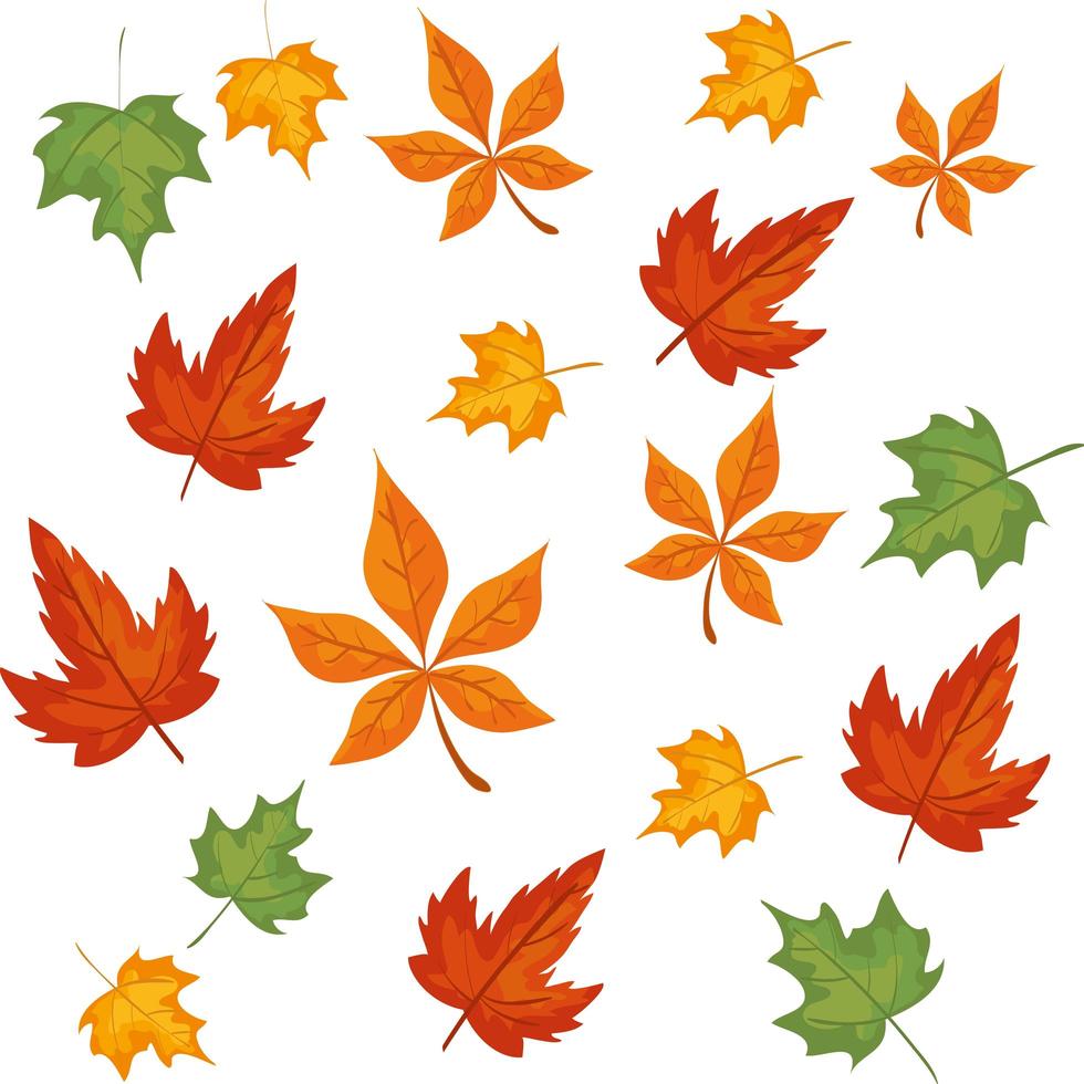 patroon van herfstbladeren decoratie vector