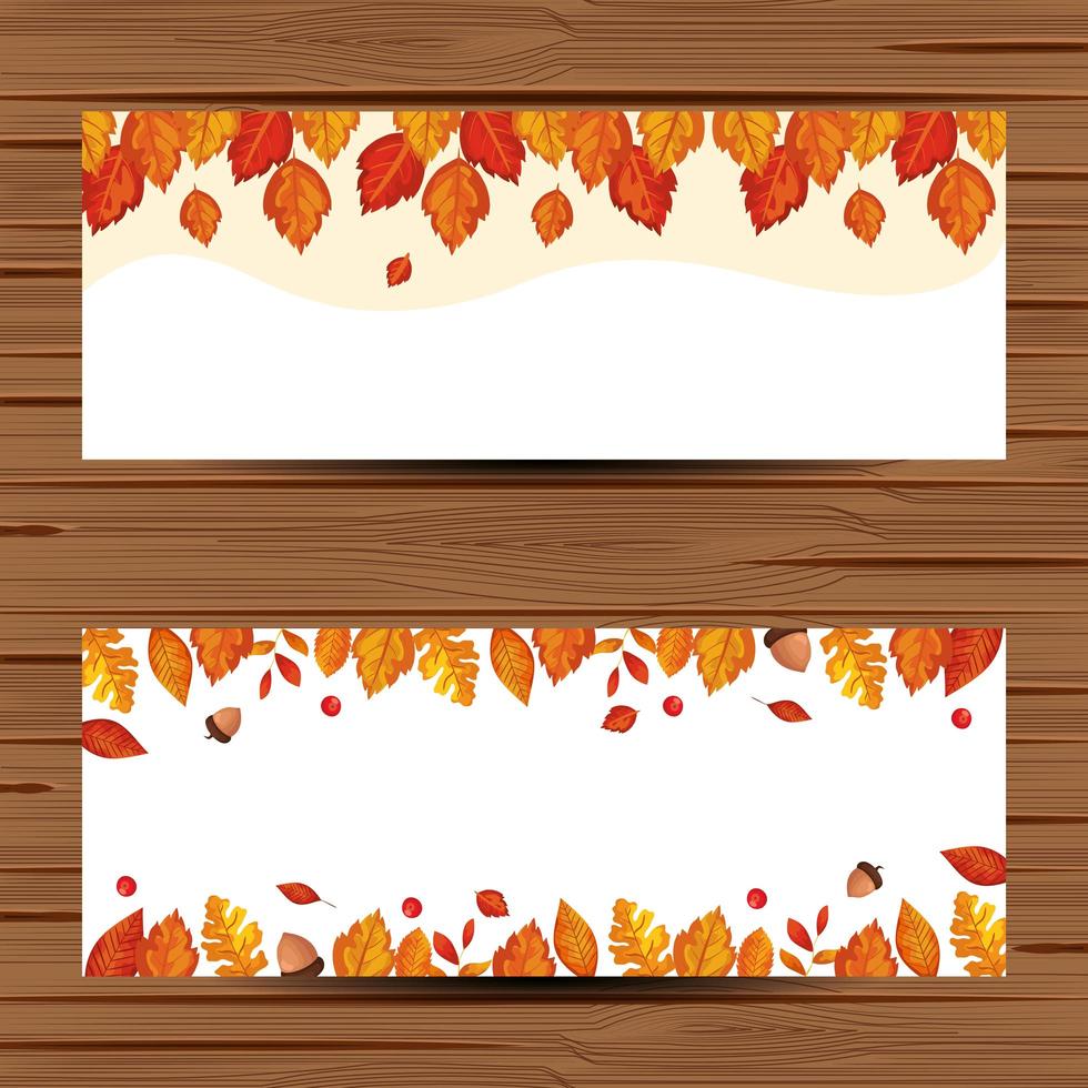 frame met herfstbladeren gebladerte vector