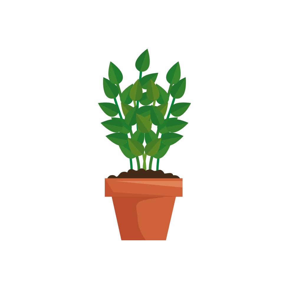 plant in huis pot geïsoleerde icon vector