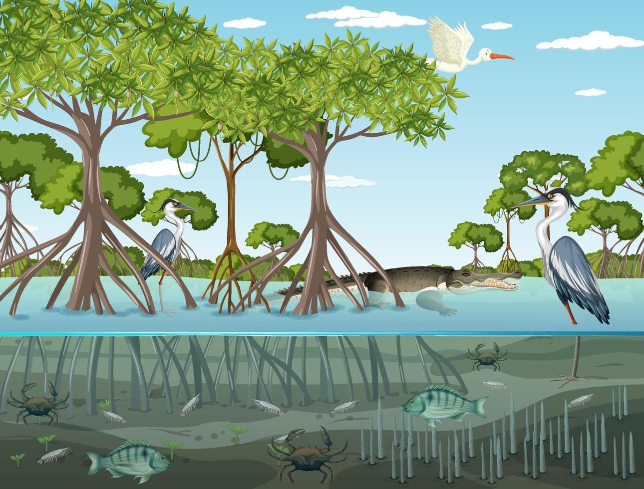 mangrove boslandschapsscène overdag vector