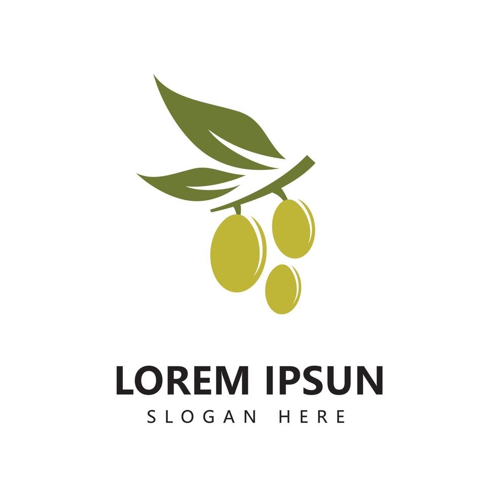 olijf logo pictogram en olijfolie logo sjabloon vector
