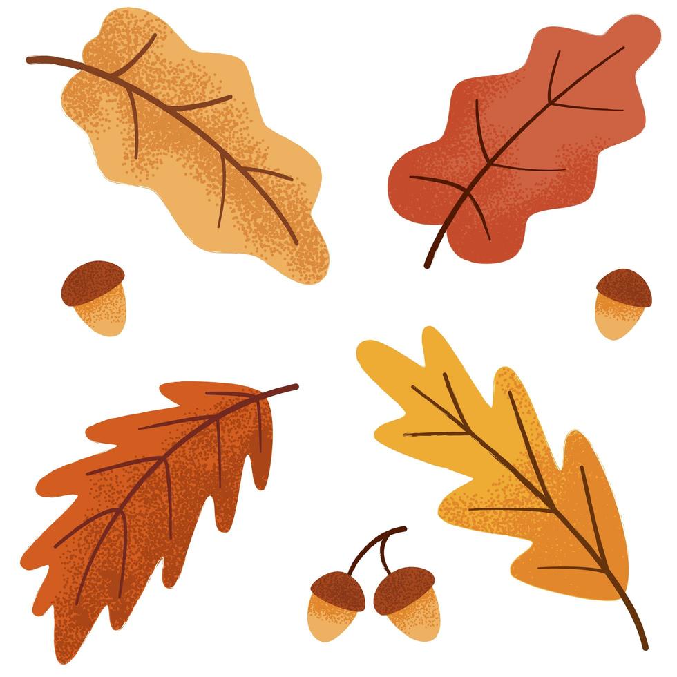 herfst botanische eiken set, bladeren en eikel vector