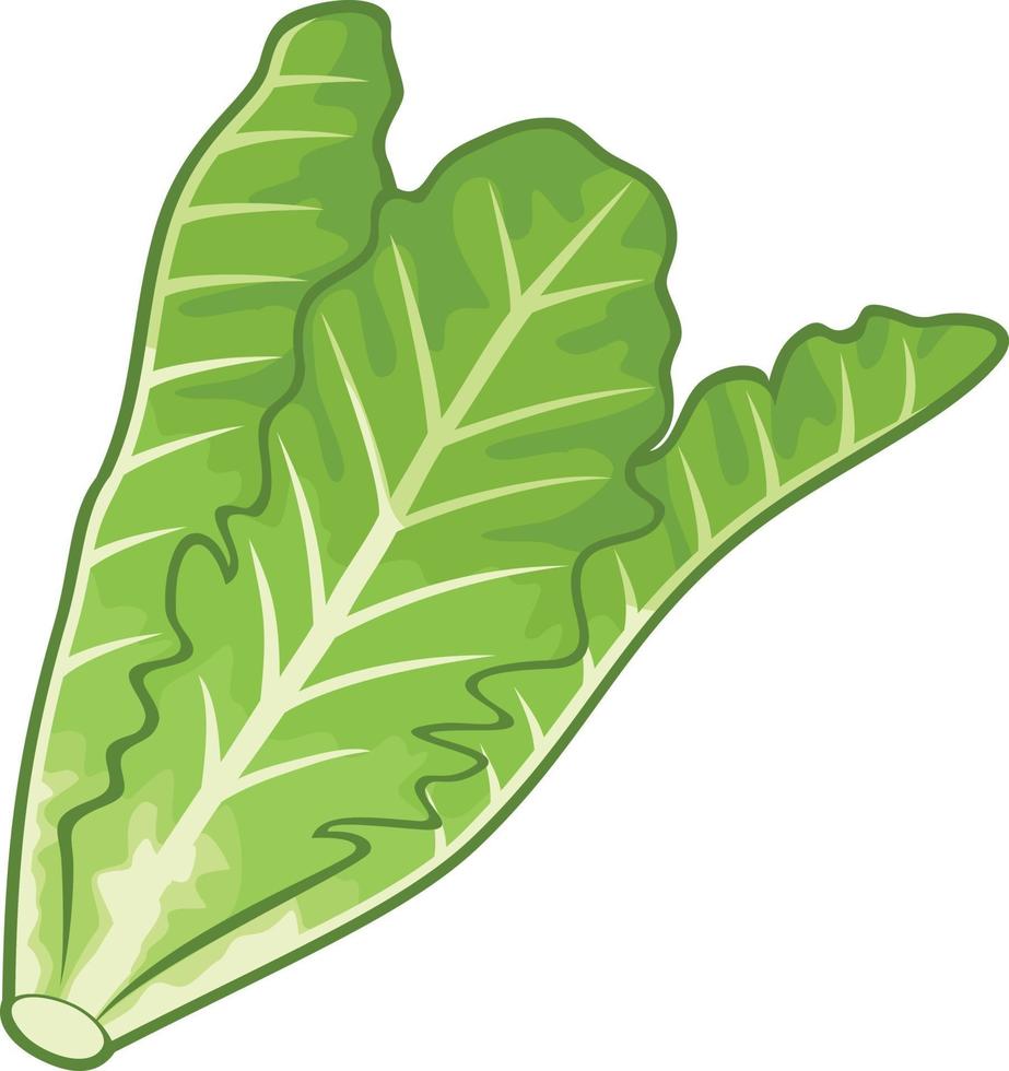 groene bladsla vector