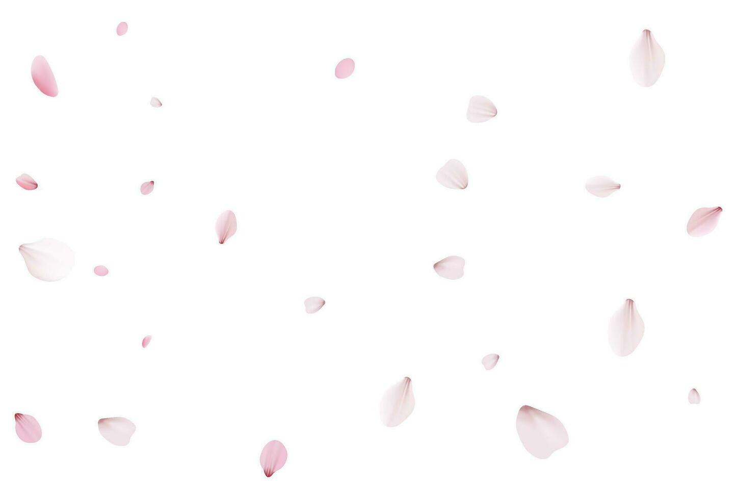 sakura bloemblaadjes. realistisch vector illustratie.