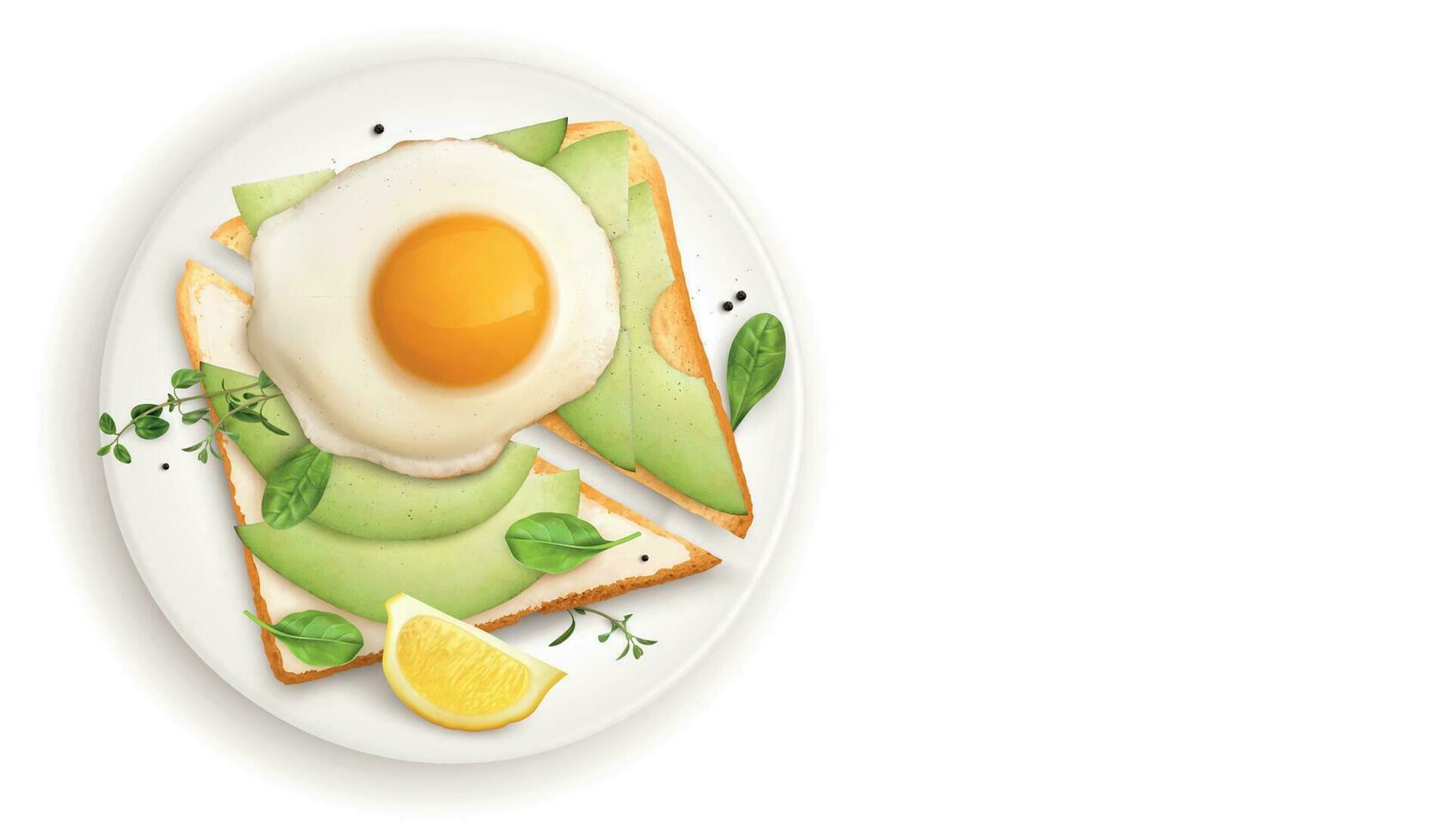 avocado ei geroosterd brood samenstelling vector