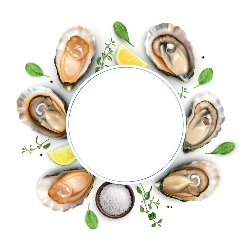 realistisch oesters kader samenstelling vector