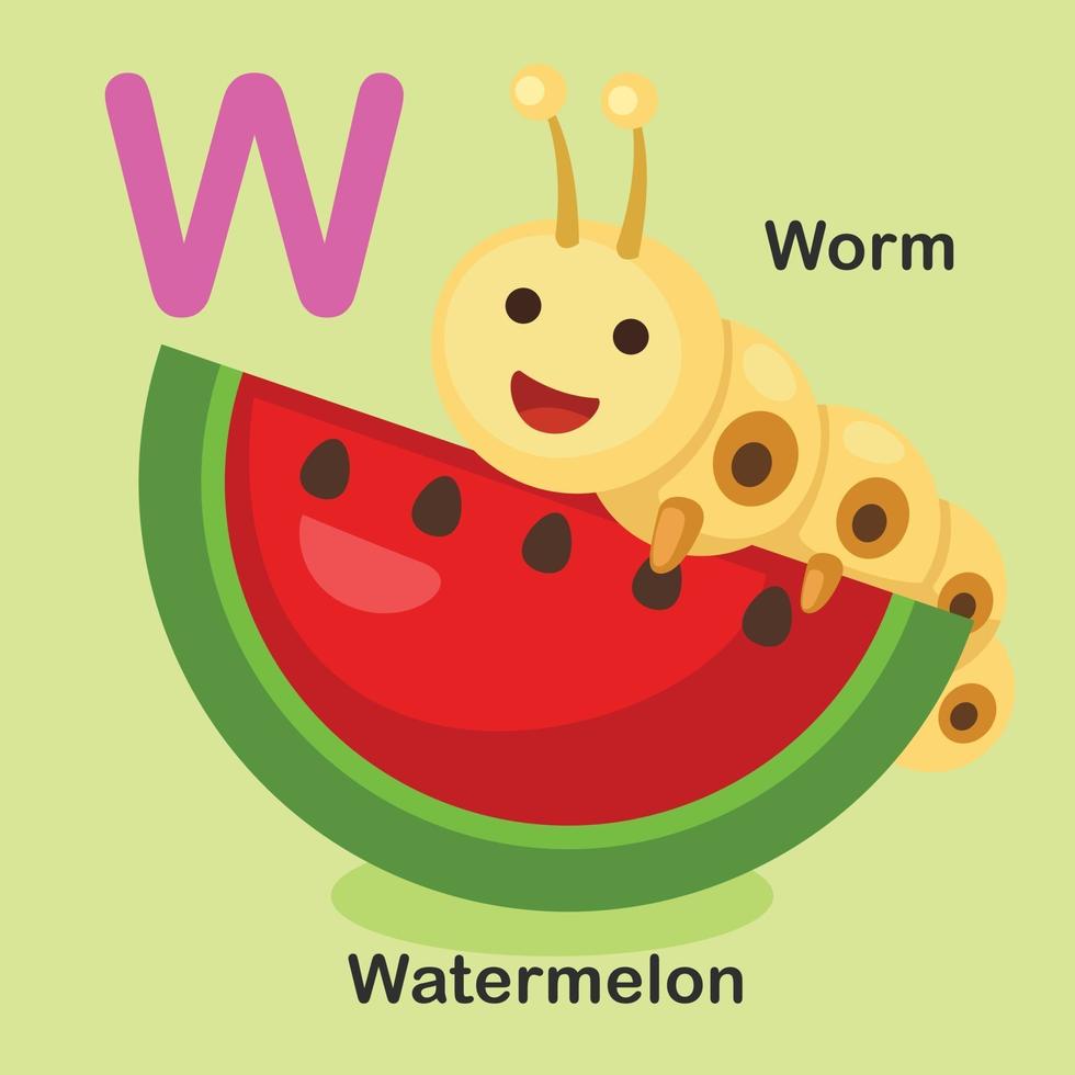 illustratie geïsoleerd dier alfabet letter w-watermeloen, worm vector