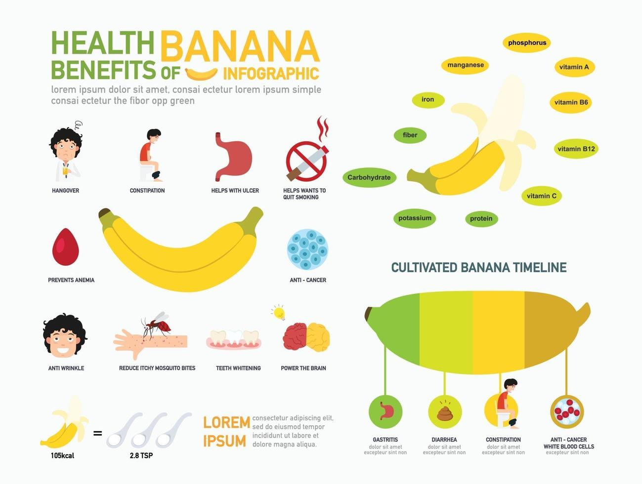 gezondheidsvoordelen van banaan infographics.vector vector