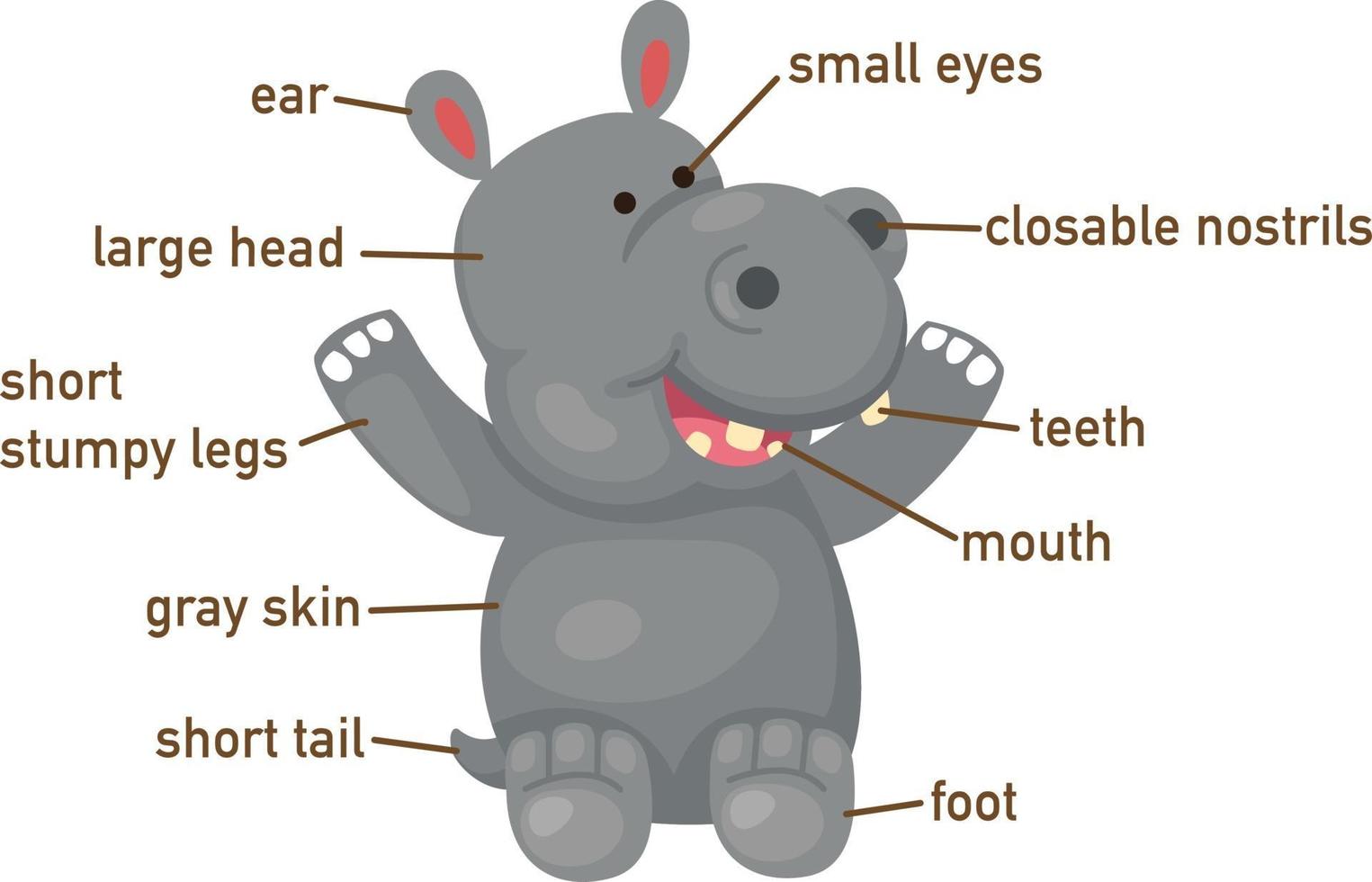 illustratie van nijlpaard woordenschat deel van het lichaam vector