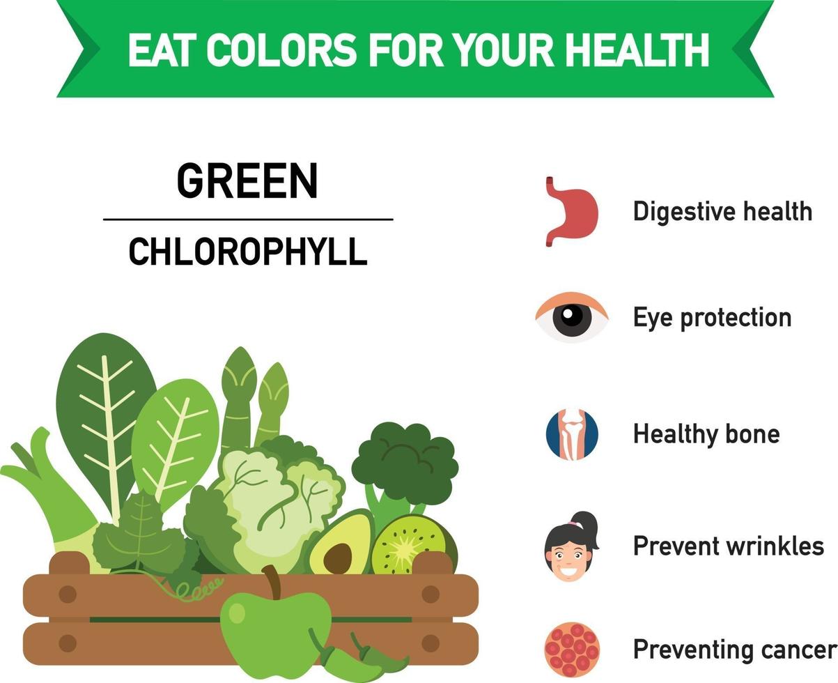 eet kleuren voor je gezondheid vector