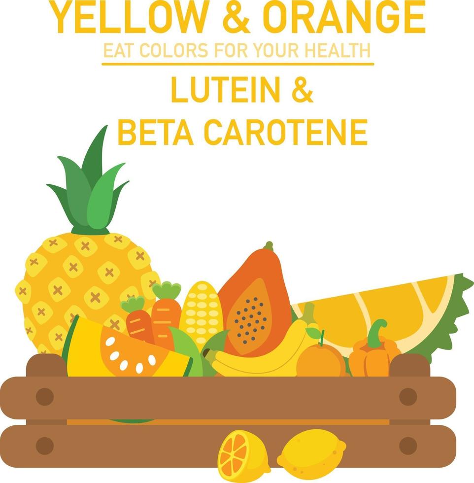 eet kleuren voor je gezondheid vector