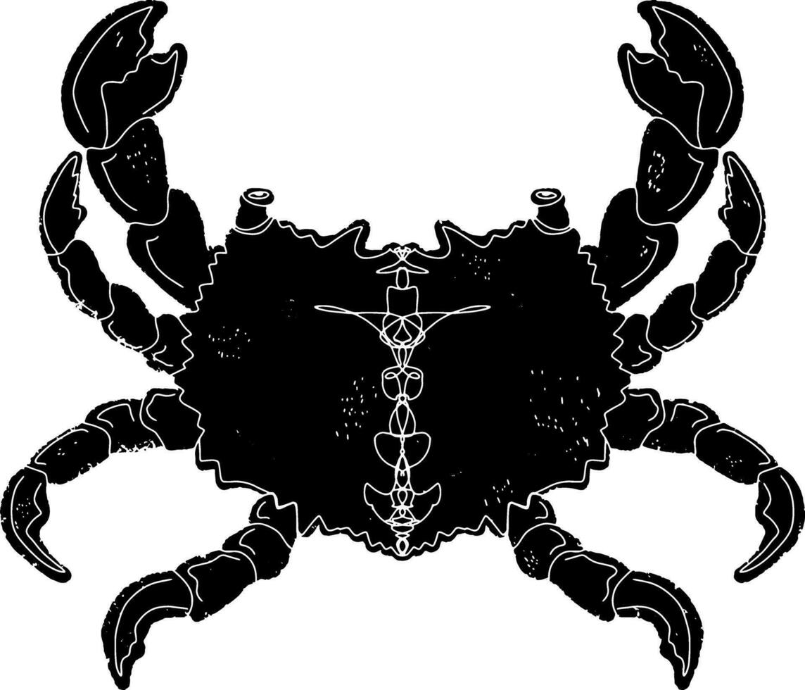 een zwart en wit tekening van een krab vector