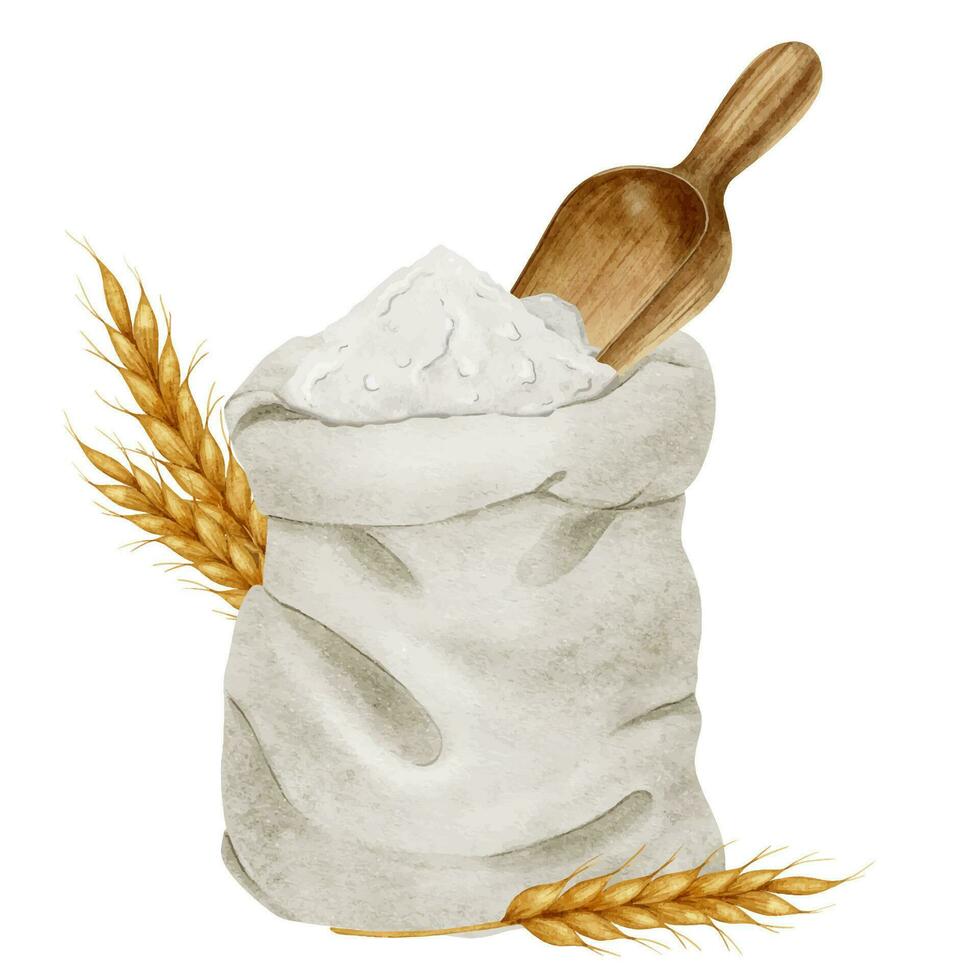 meel in een canvas zak met een houten lepel. graan. waterverf illustratie. geïsoleerd. bakken ingrediënten. bakkerij. culinaire clip art voor voedsel blogs, ontwerp van etiketten en verpakking van goederen, kaarten vector