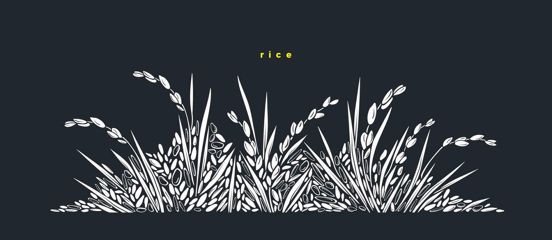 rijst- veld, basmati. wit wild graan vector rijstveld