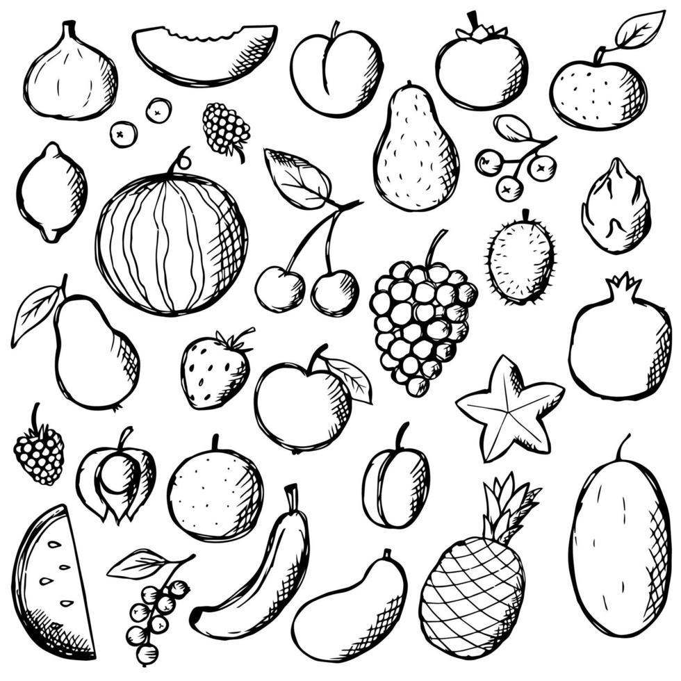 fruit doodle hand loting set. vector voedsel elementen collectie