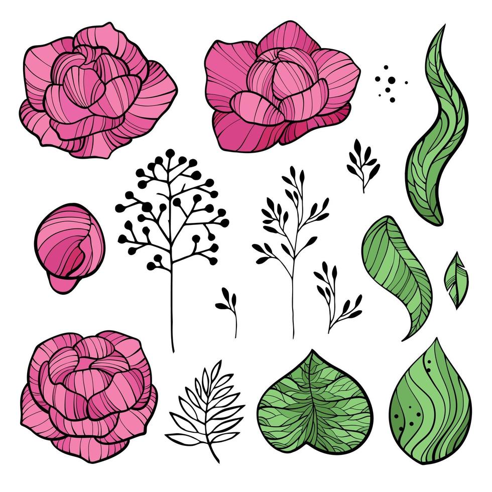 set van pioenroos bloemen tekeningen. abstracte bloem illustratie. vector