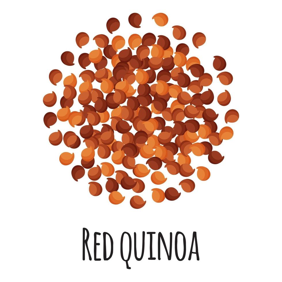 rode quinoa voor het ontwerp, het etiket en de verpakking van de sjabloonboerenmarkt. vector