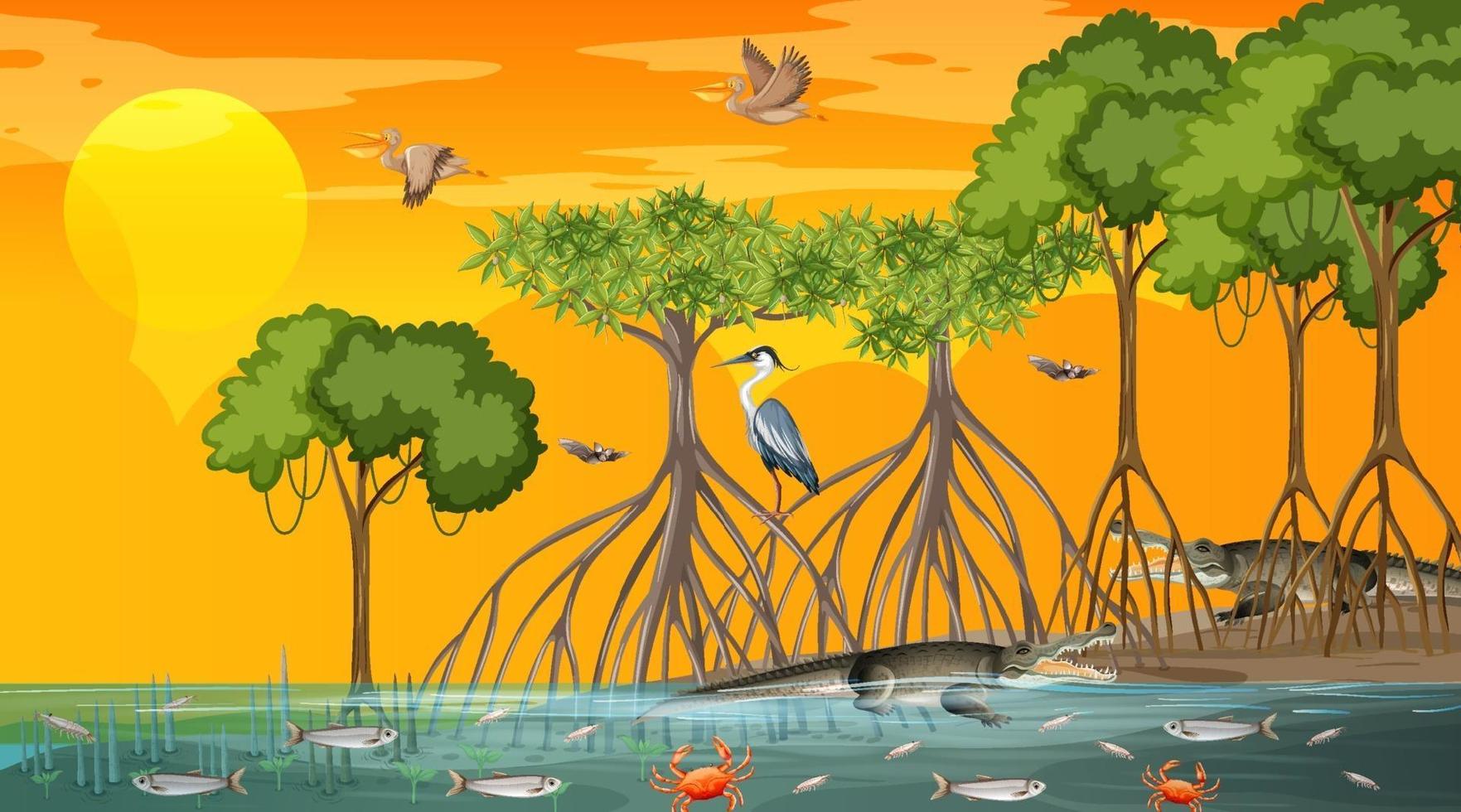 mangroveboslandschap bij zonsondergang met veel verschillende dieren vector