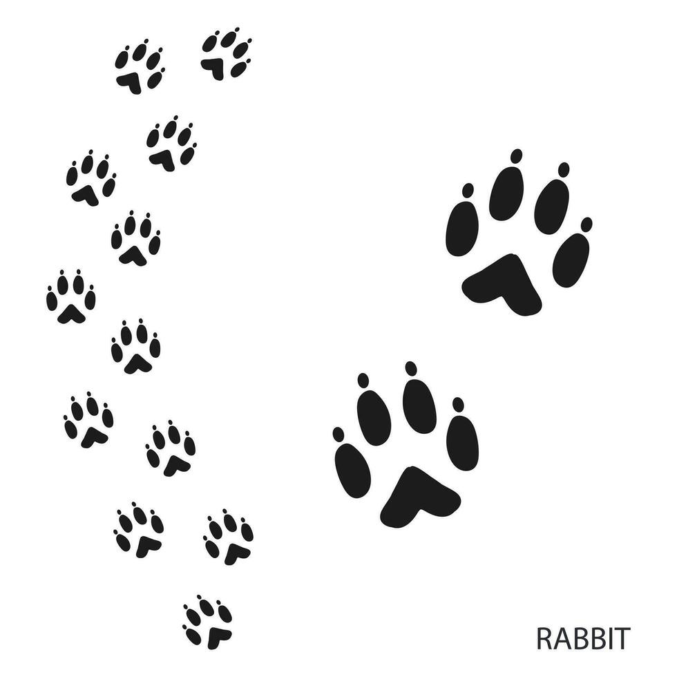 poot afdrukken, dier voetafdrukken, konijn voetafdrukken sjabloon. icoon en bijhouden van voetafdrukken. zwart silhouet. vector