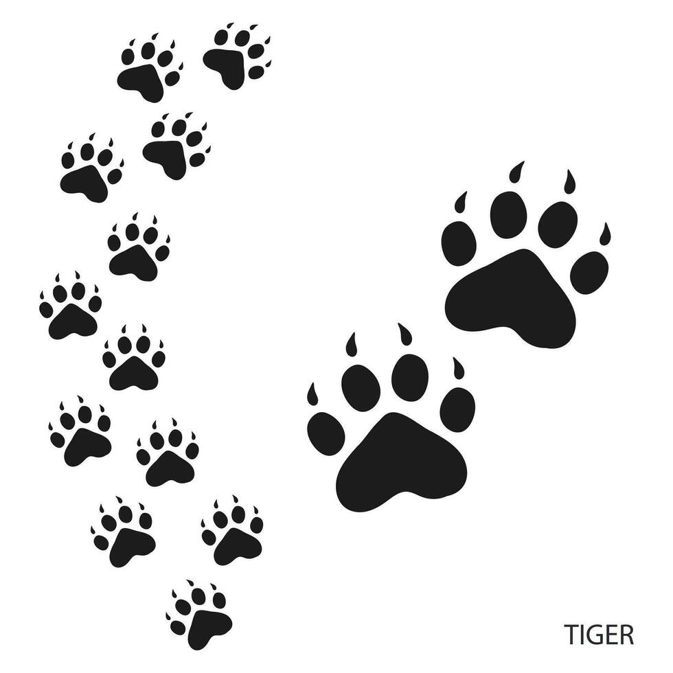 poot afdrukken, dier sporen, tijger voetafdrukken patroon. icoon en bijhouden van voetafdrukken. zwart silhouet. vector