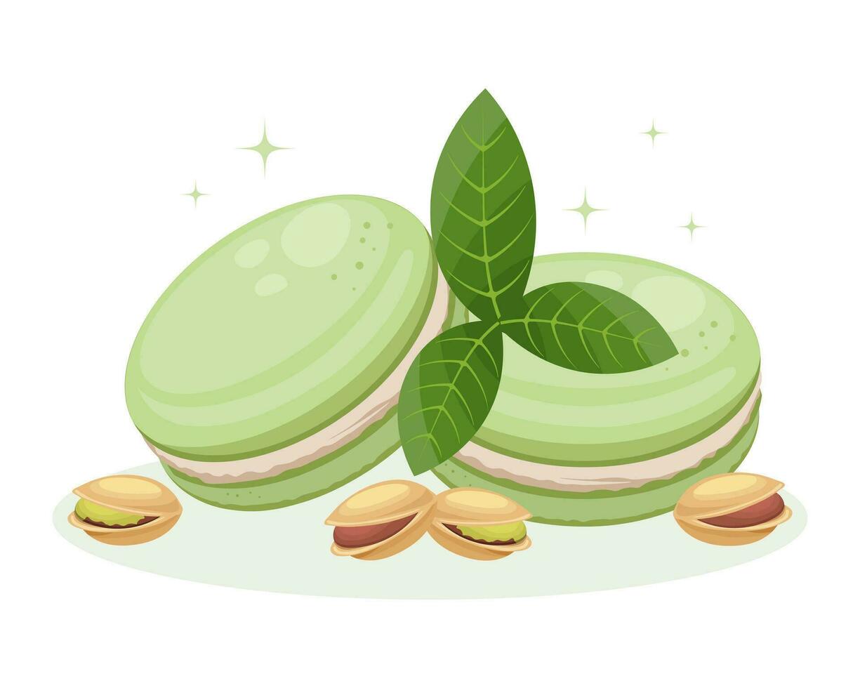 Frans pistache macarons en pistachenoten met bladeren. voedsel illustratie, vector