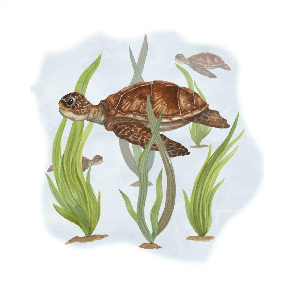 waterverf illustratie van schildpadden tussen onkruid. kan worden gebruikt voor behang, afdrukken, baby textiel, scrapbooken, ansichtkaarten, kleding. tekenfilm stijl vector