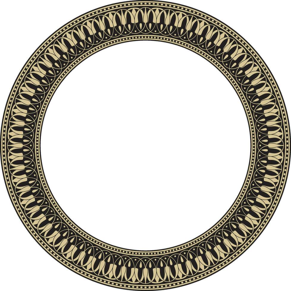 vector goud en zwart ronde klassiek Grieks meander ornament. patroon, cirkel van oude Griekenland. grens, kader, ring van de Romeins rijk