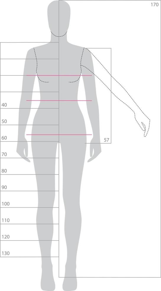 vrouwelijk lichaamssjabloon 170 cm hoogte voor technische modeschets vector